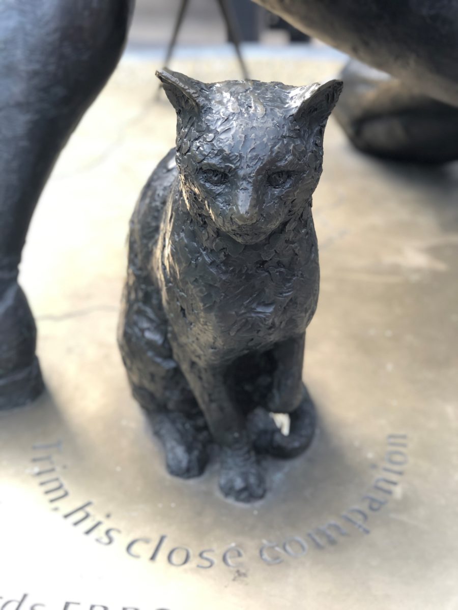 Bronze statue of sitting cat. Trim was Matthew Flinders's beloved companion on his explorations